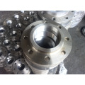 flange in flanges